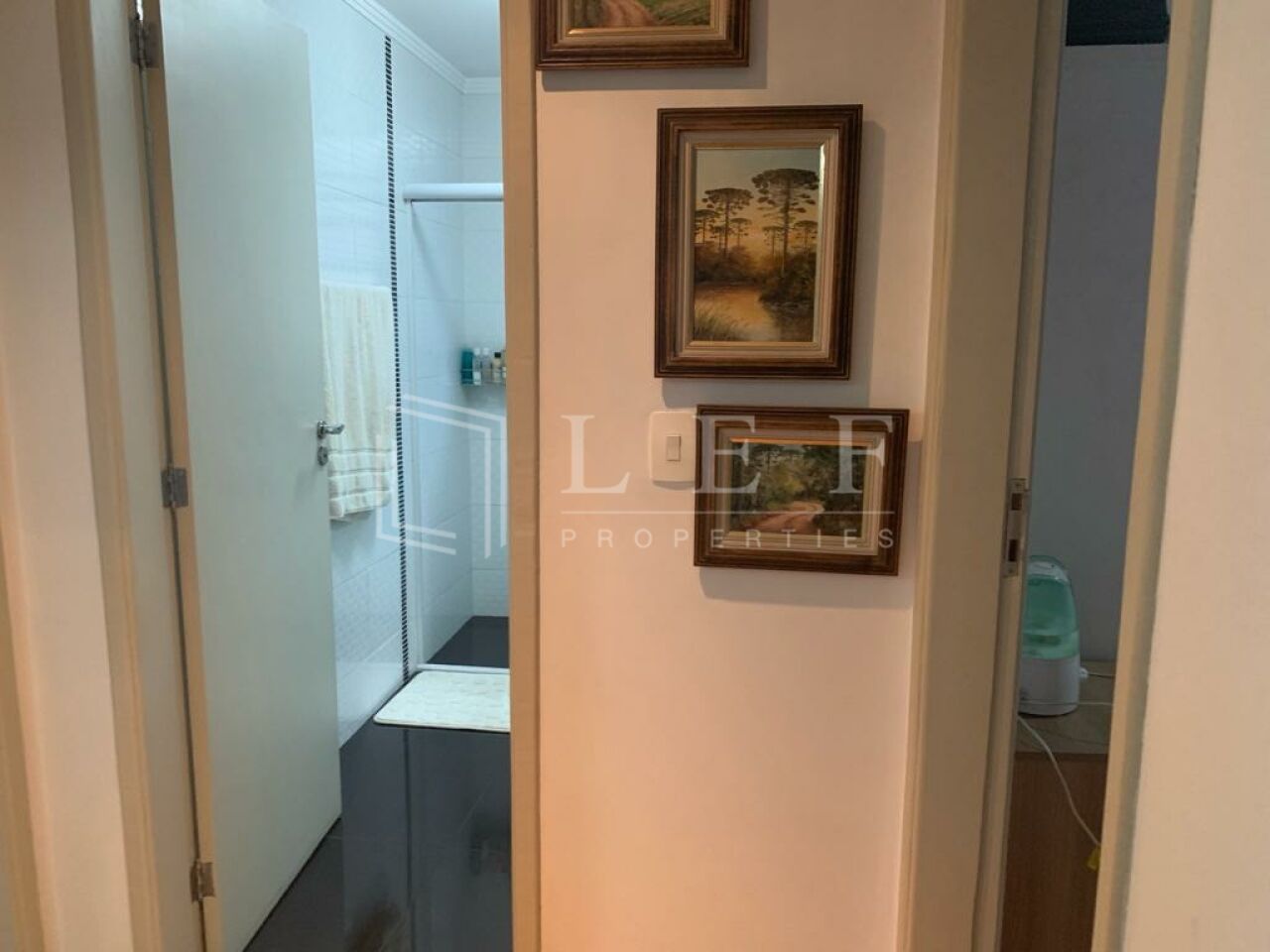 Lef Properties