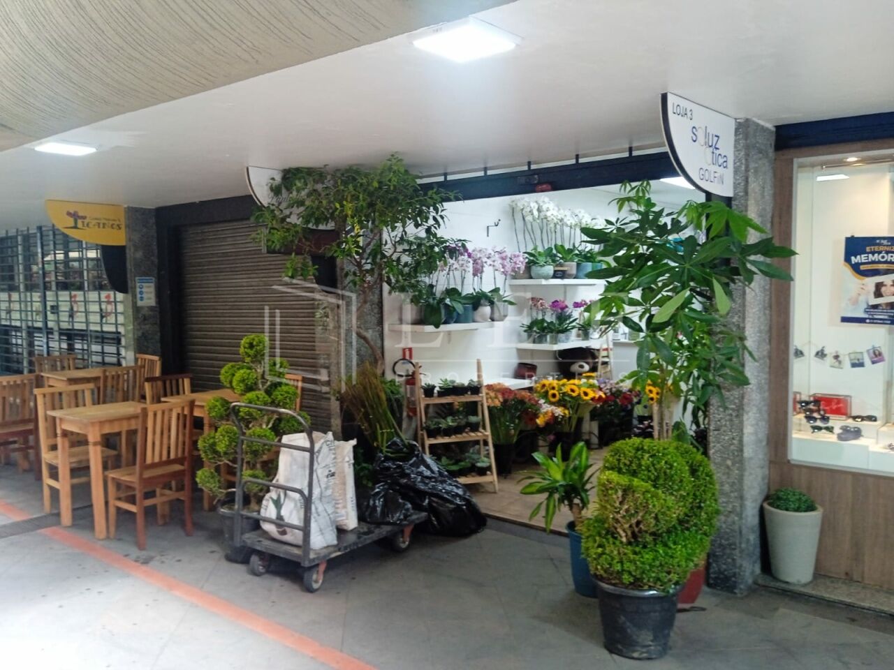 Lef Properties