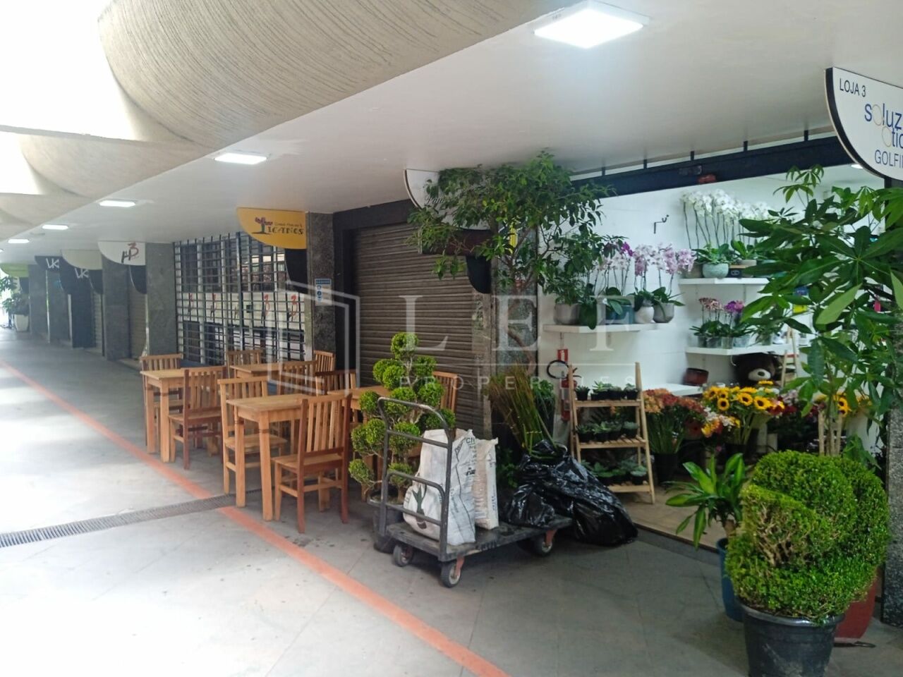 Lef Properties