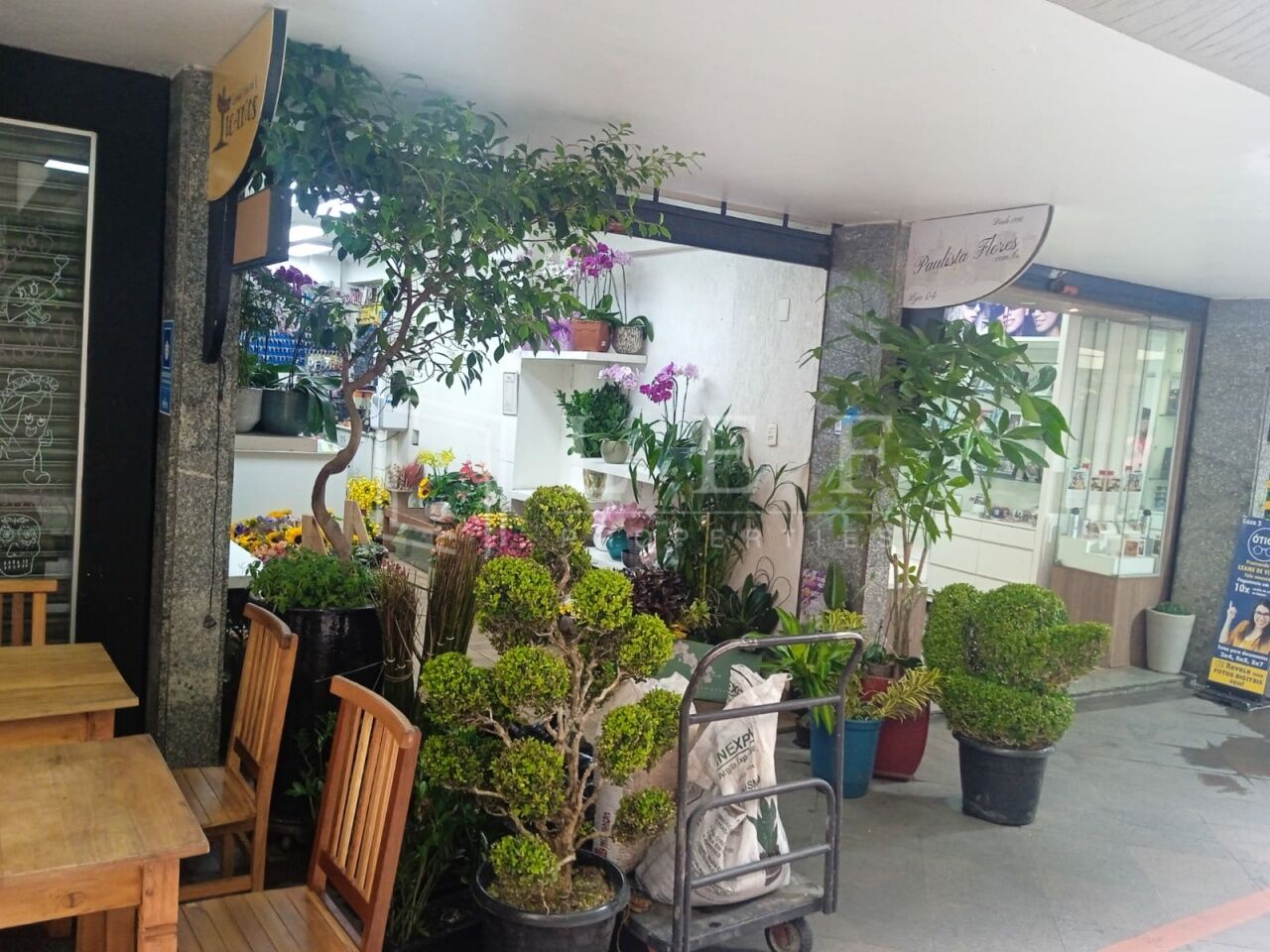 Lef Properties