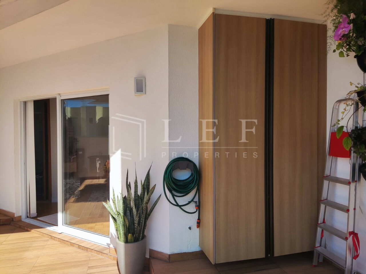 Lef Properties
