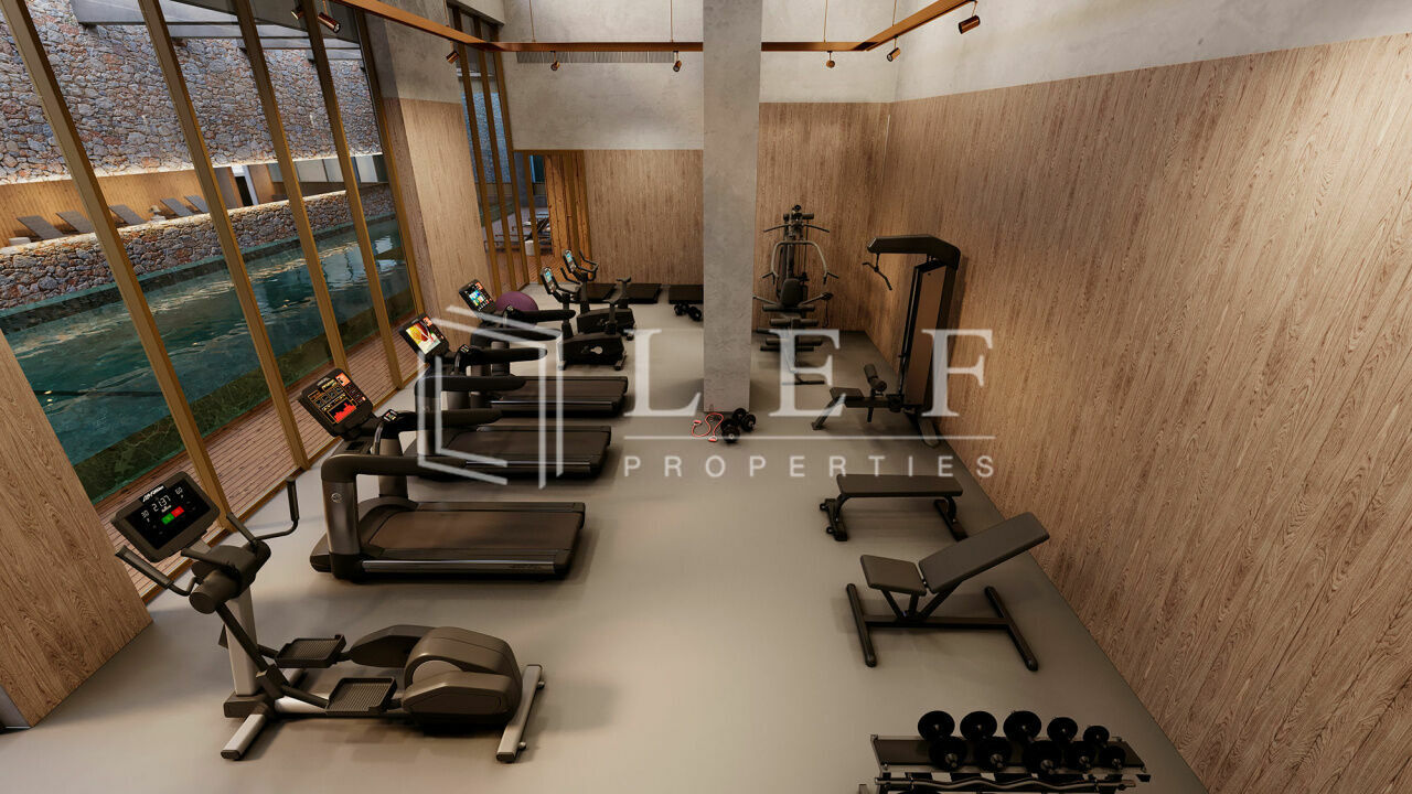 Lef Properties