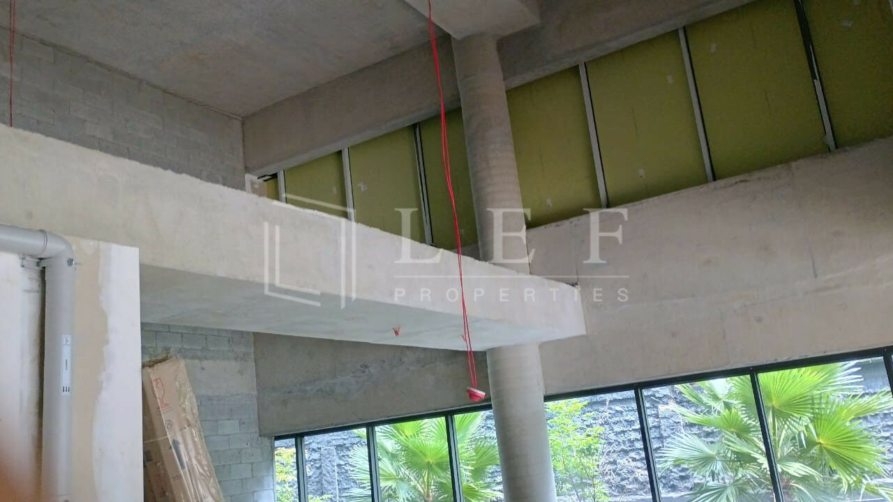 Lef Properties