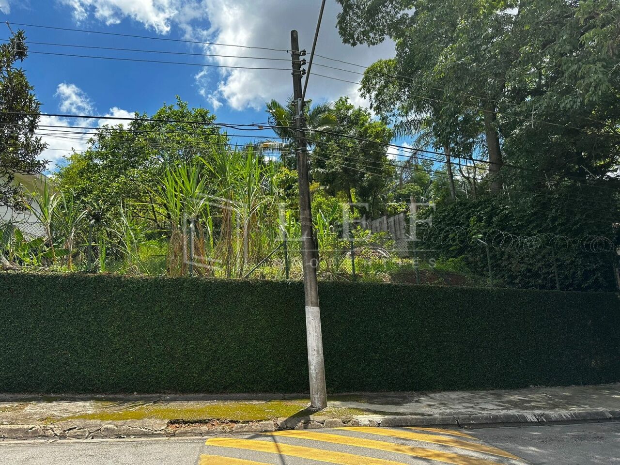 Lef Properties
