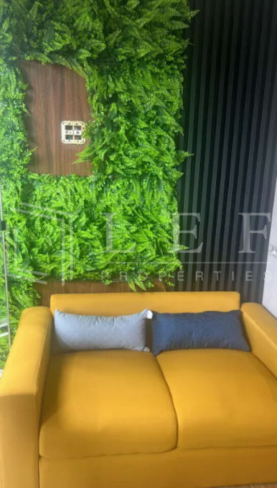 Lef Properties