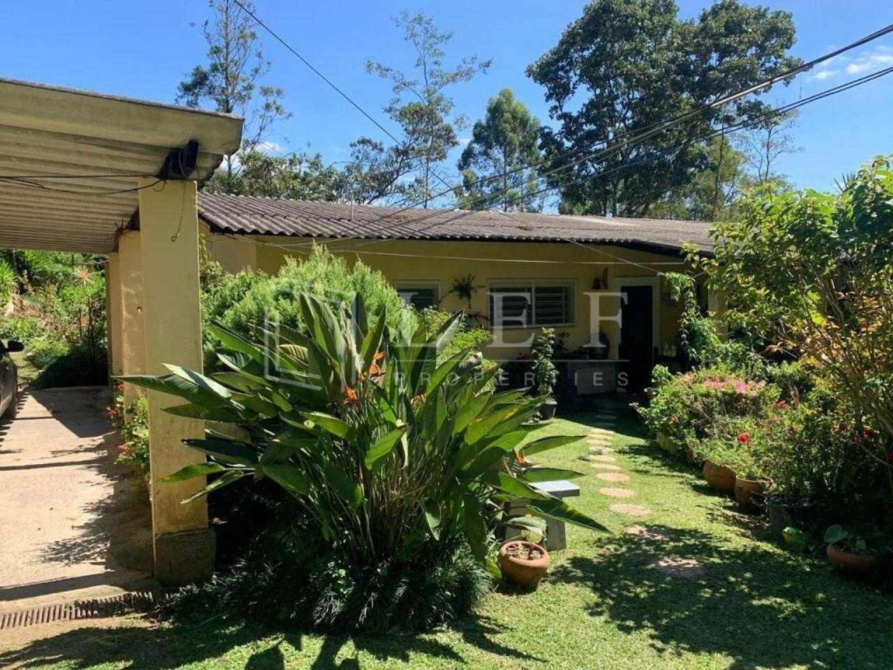 Lef Properties