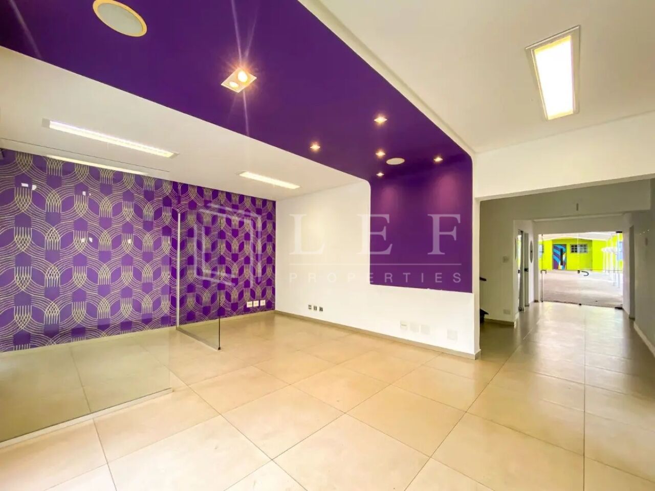 Lef Properties