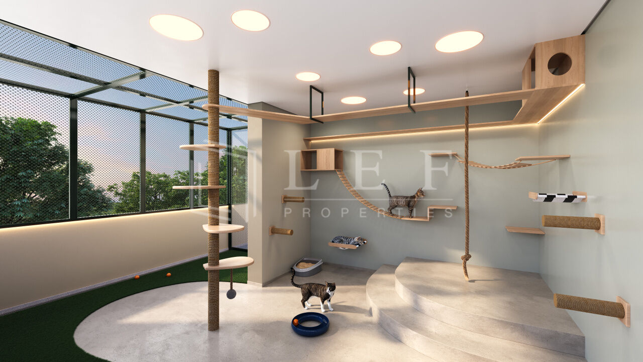 Lef Properties