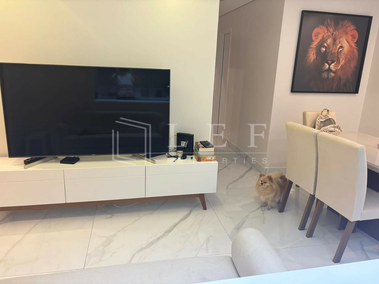 Lef Properties