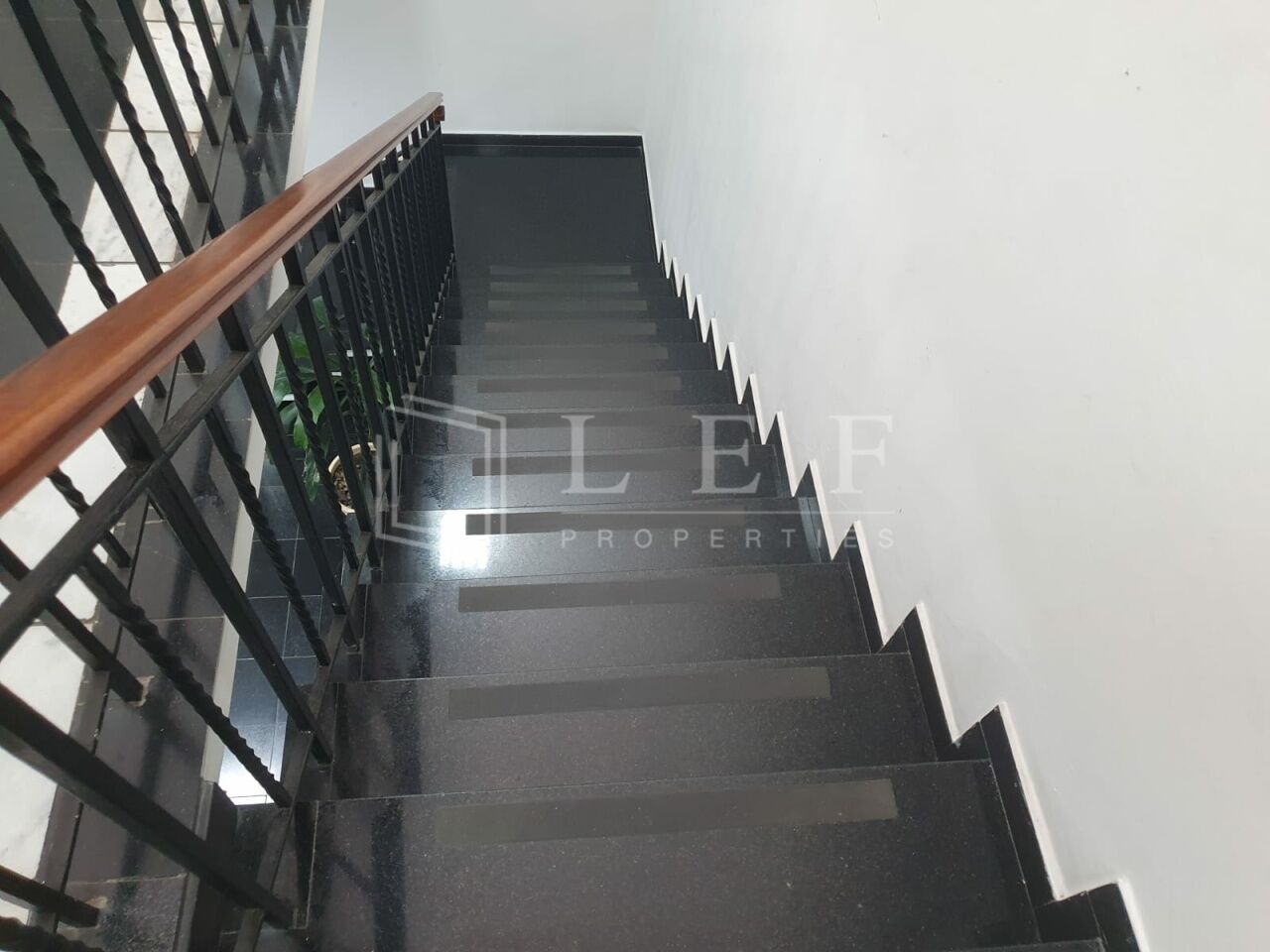 Lef Properties