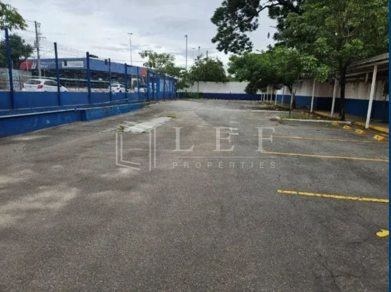 Lef Properties