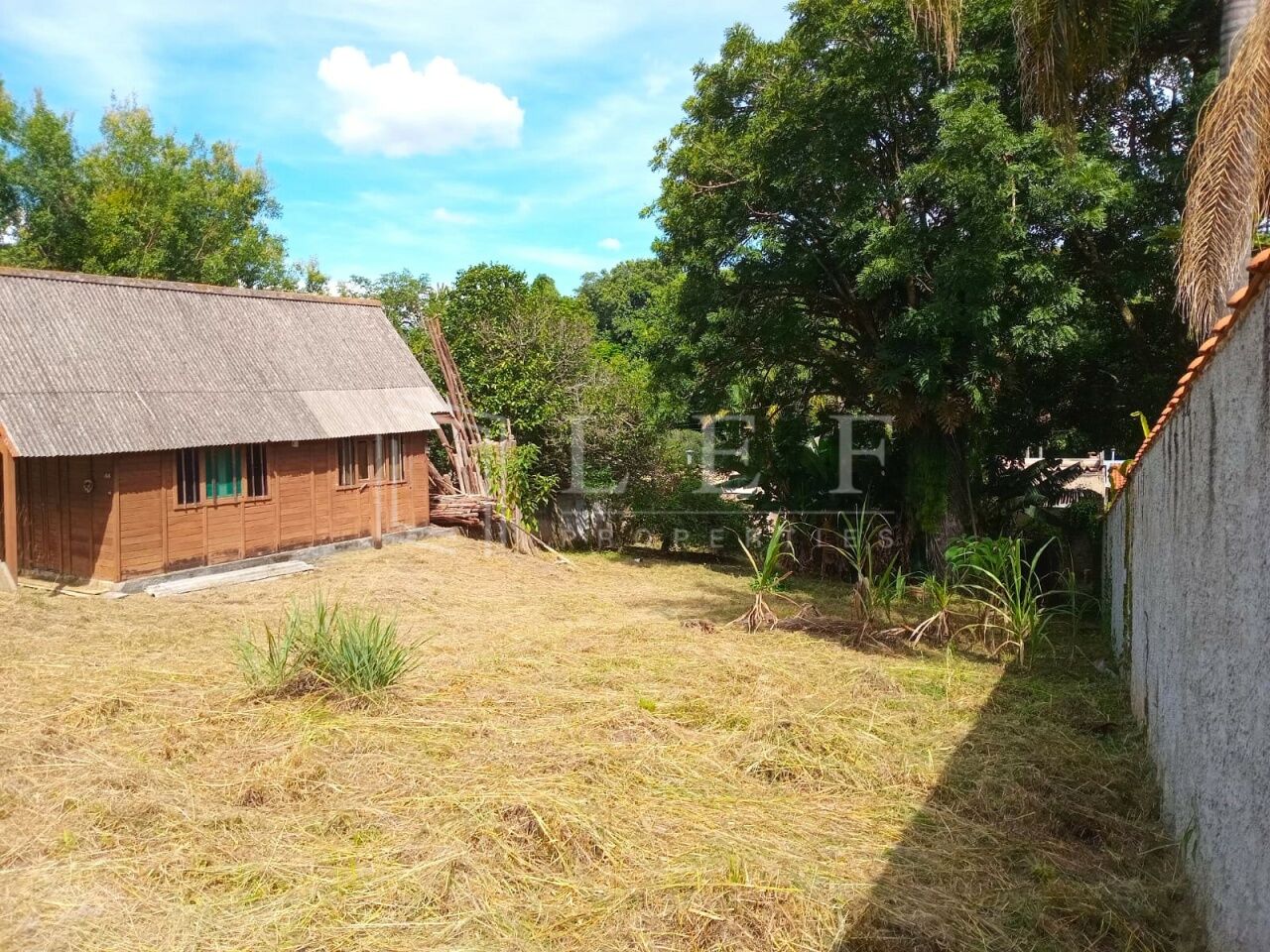 Lef Properties
