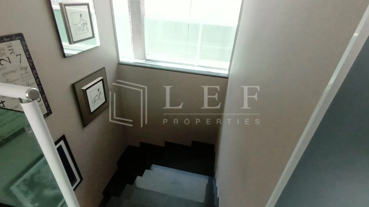 Lef Properties