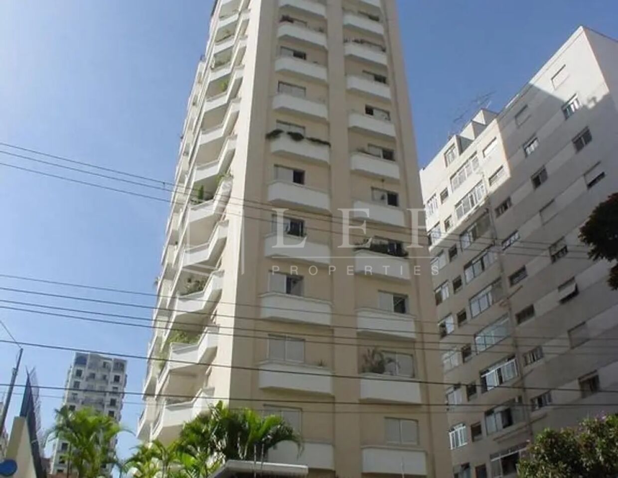Lef Properties
