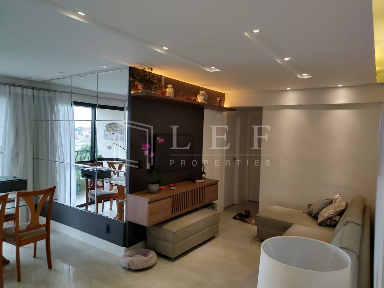 Lef Properties