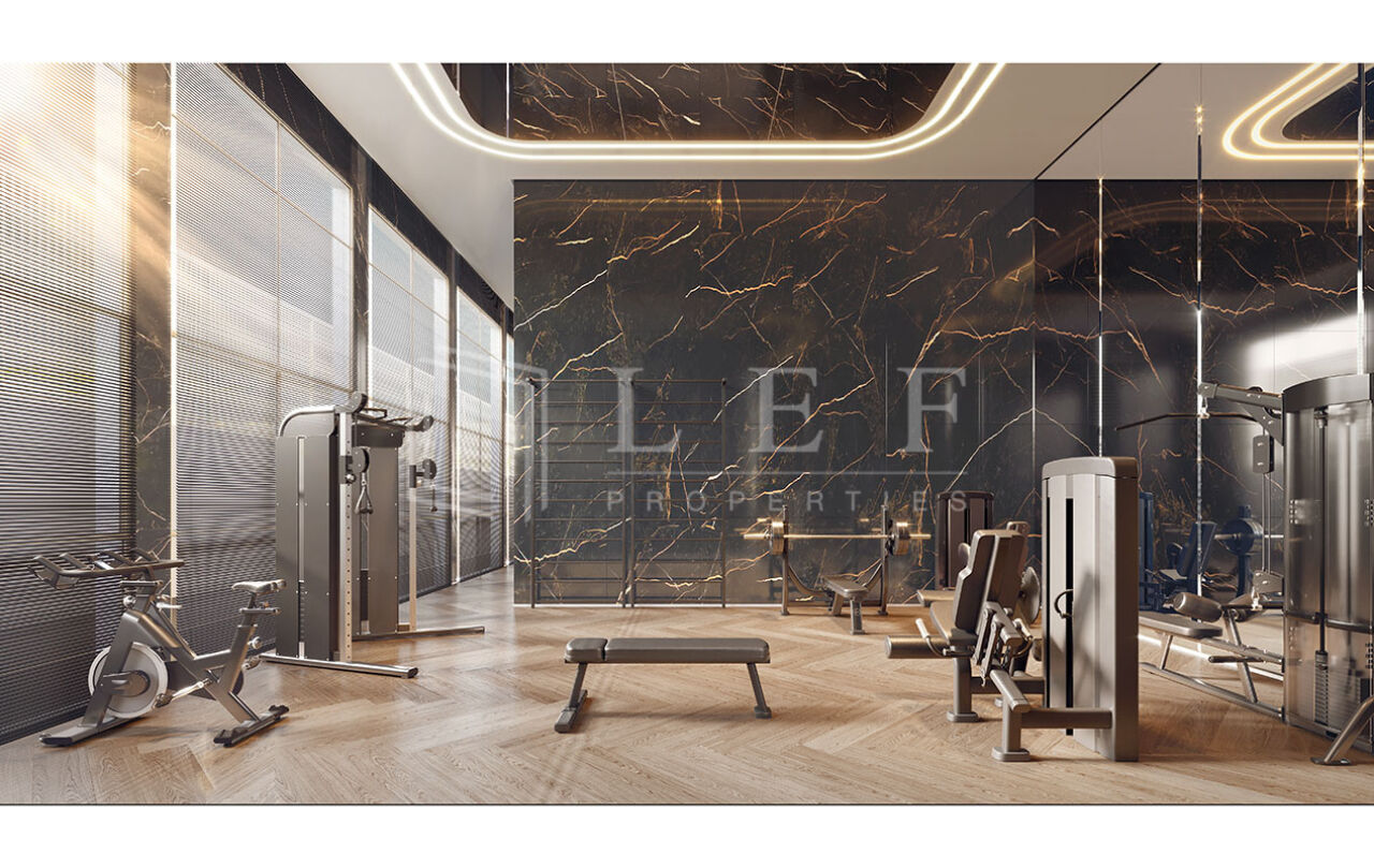 Lef Properties