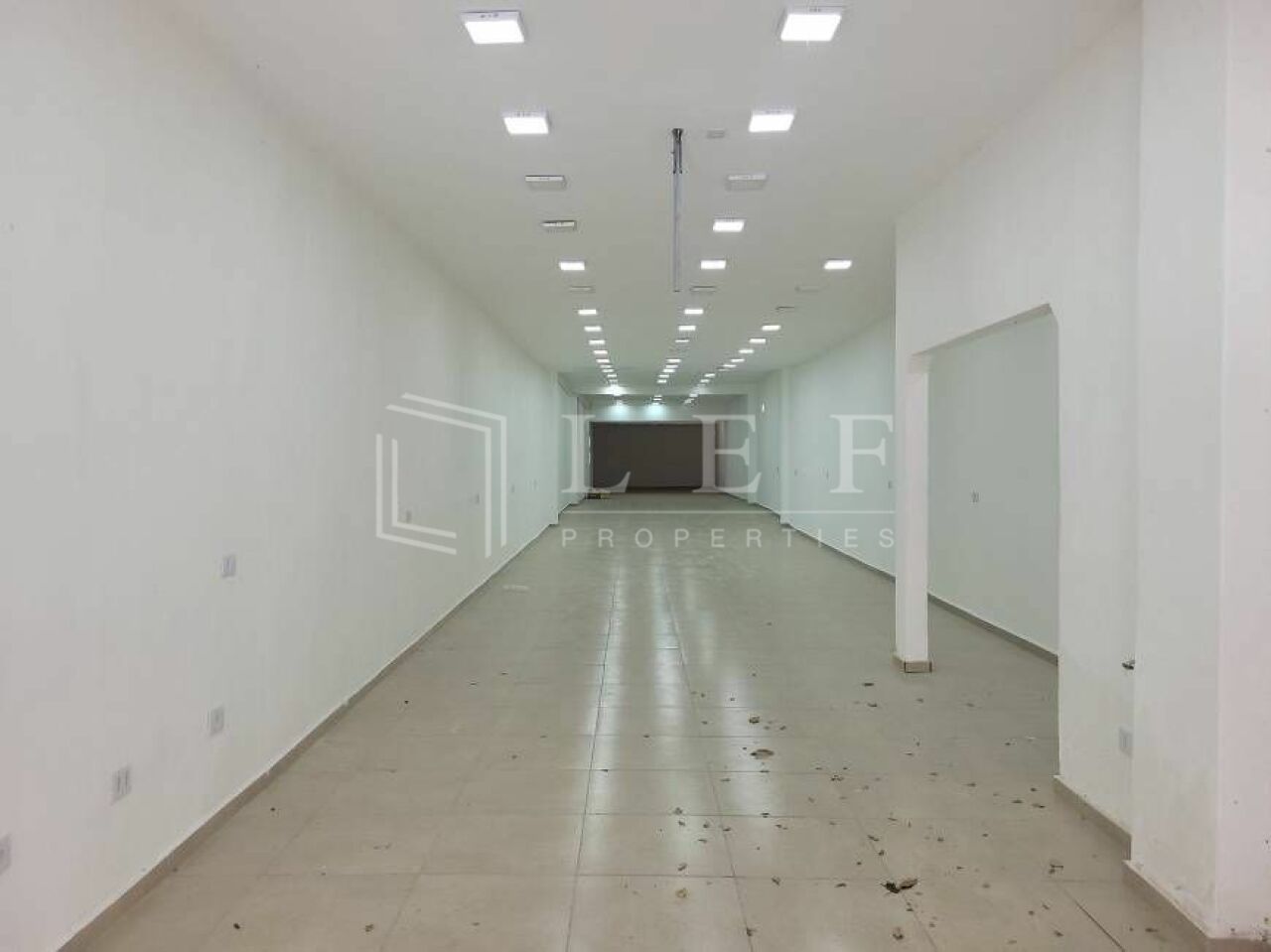 Lef Properties