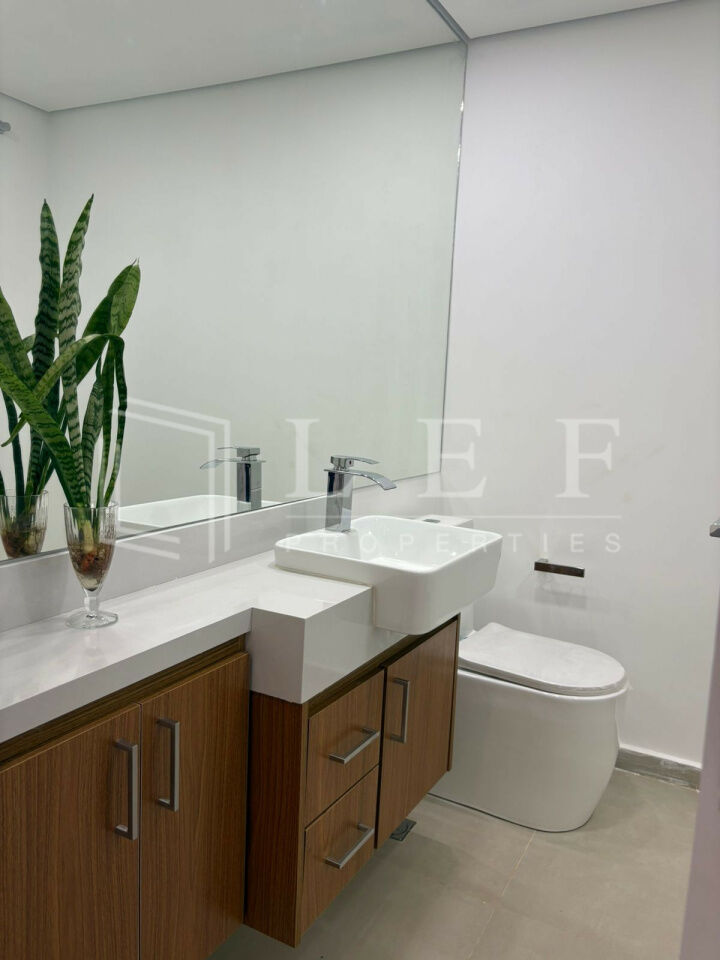 Lef Properties