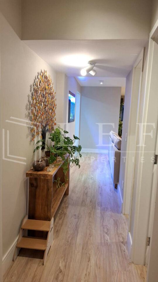 Lef Properties